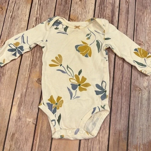 6 Month Girls Carters Onesies Bundle - Picture 5 of 11